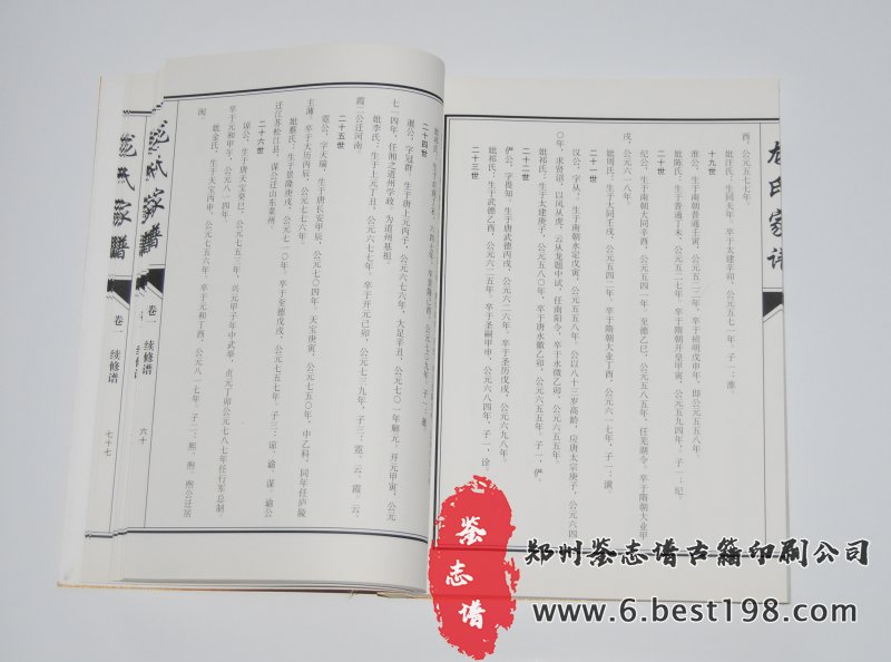 龙氏家谱