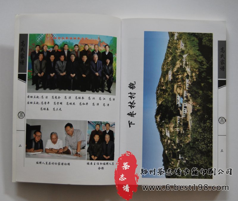 下枣林村高氏家谱