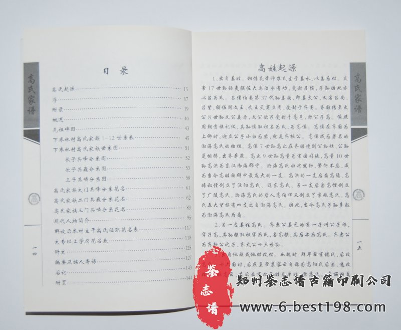 下枣林村高氏家谱