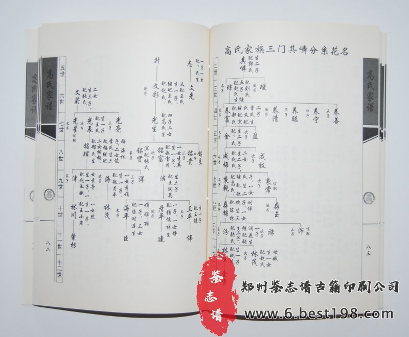 下枣林村高氏家谱
