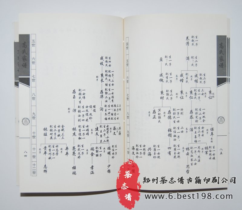 下枣林村高氏家谱