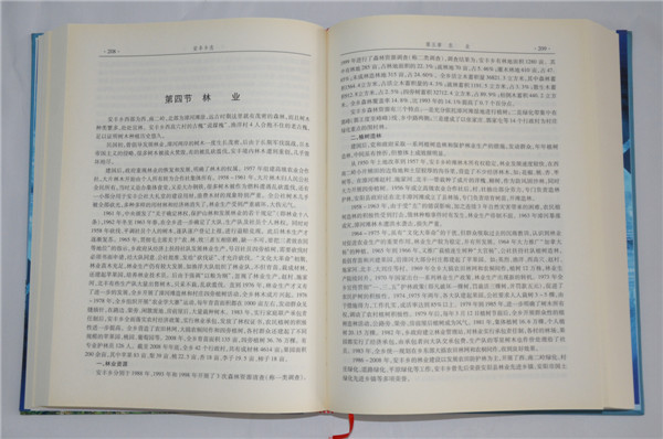 安丰乡志