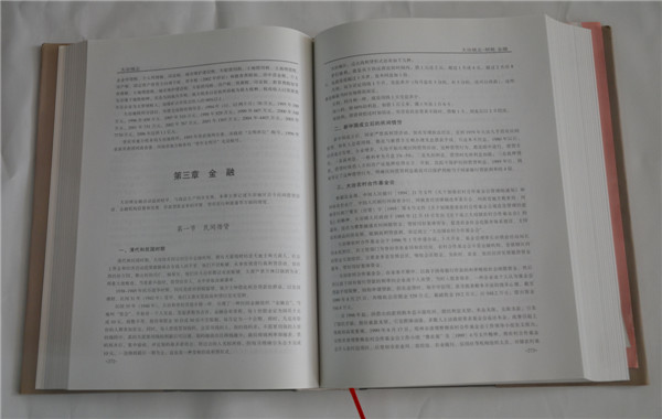 大冶镇志